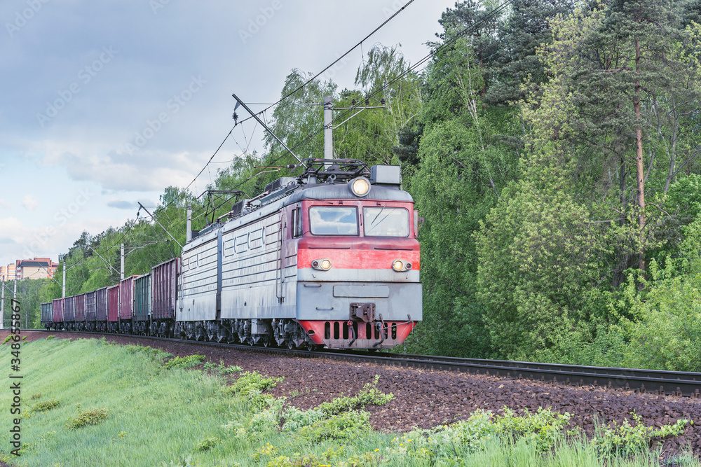 Naklejka premium Freight train moves by the spring forest.