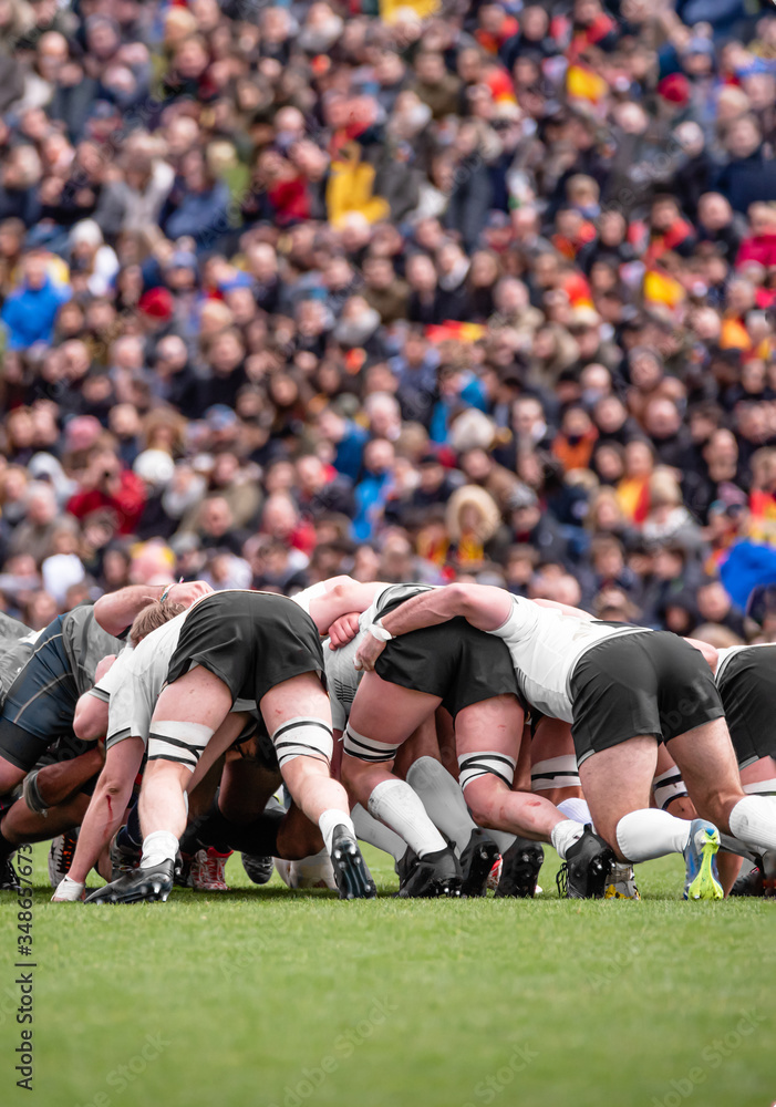 Scrum Rugy Scrum Rugby Wallpaper
