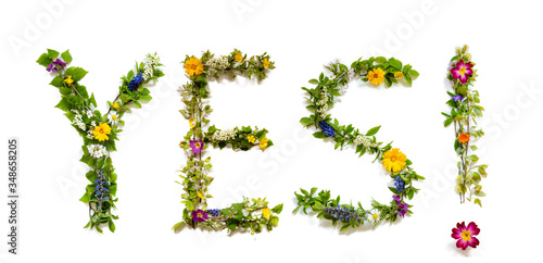 Flower, Branches And Blossom Letter Building English Word Yes. White Isolated Background