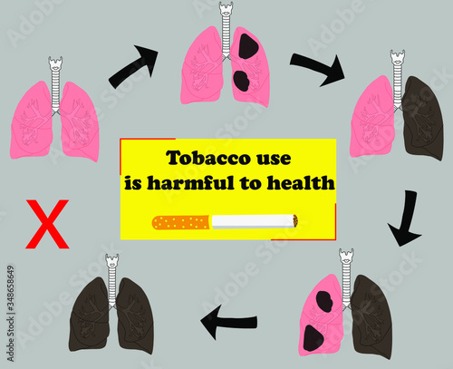 sin tabaco, lo que representa el deterioro de los pulmones debido al consumo de tabaco, con la frase, el consumo de tabaco es perjudicial para la salud
