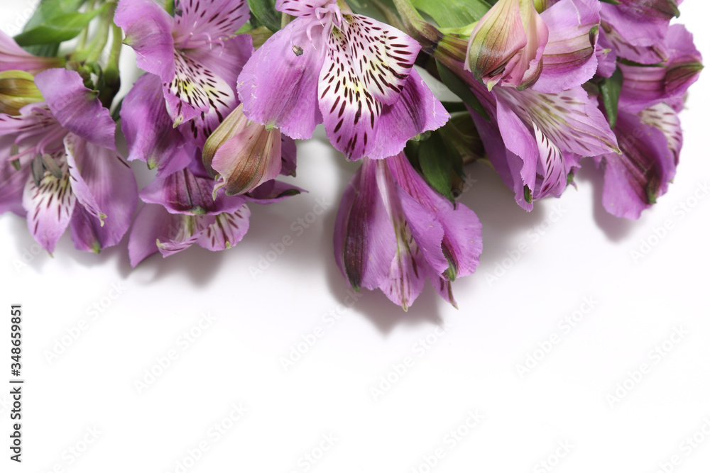 アルストロメリアの花束 Stock Photo Adobe Stock