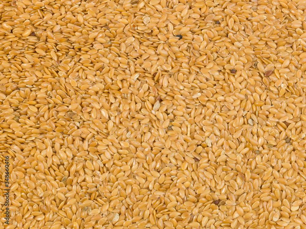 wheat grain background wheat grain background