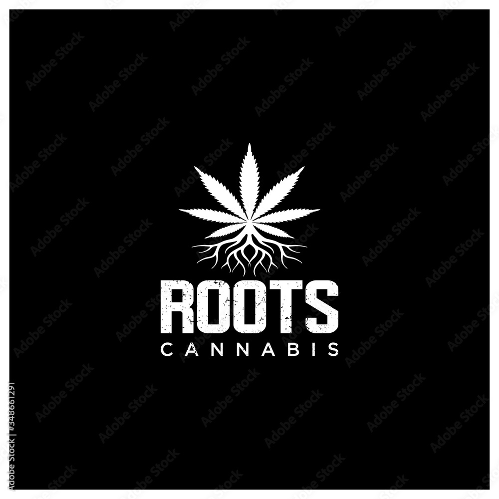 Fototapeta premium Cannabis and root Leaf Logo Design Template Illustration