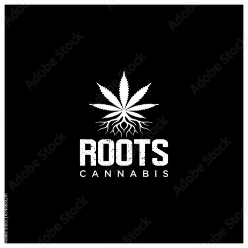 Cannabis and root Leaf Logo Design Template Illustration