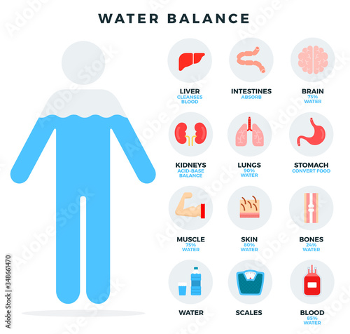 Human water balance, icons set for infographics. Water balance and its impact on the organs and systems of the human's body. Vector illustration.