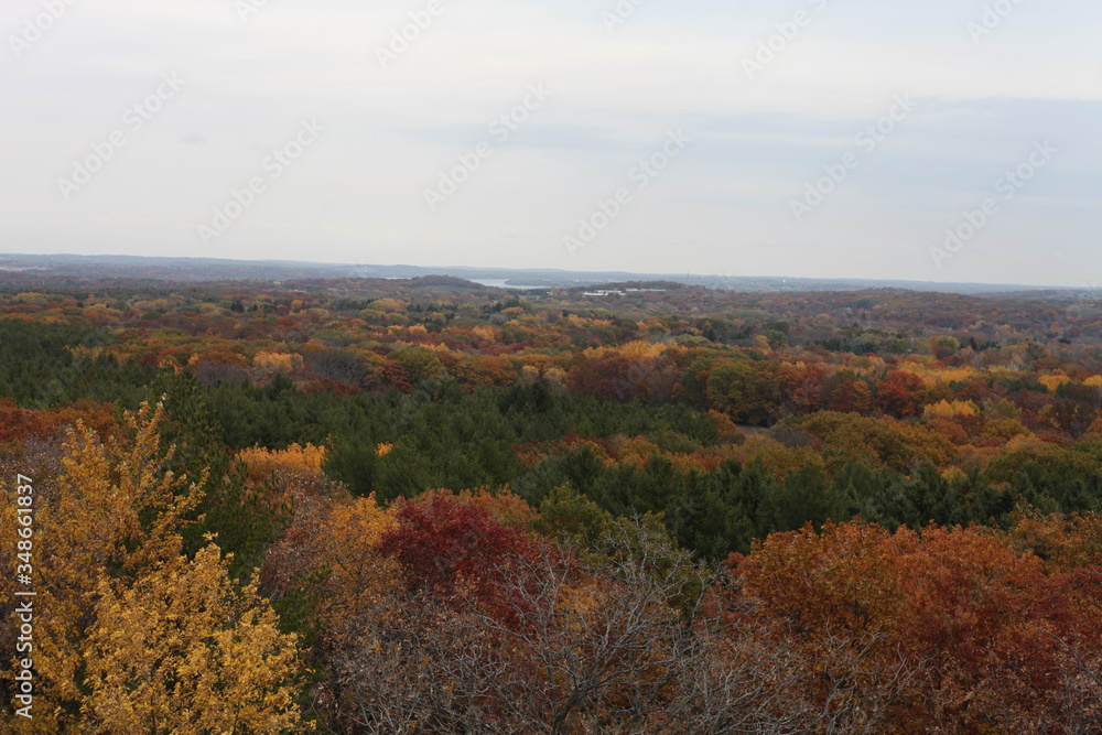 autumn in the forest, LOOK OUT OF FALL COLOR, SEASON, RED, ORANGE, YELLOW autumn in the forest, LOOK OUT OF FALL COLOR, SEASON, RED, ORANGE, YELLOW
