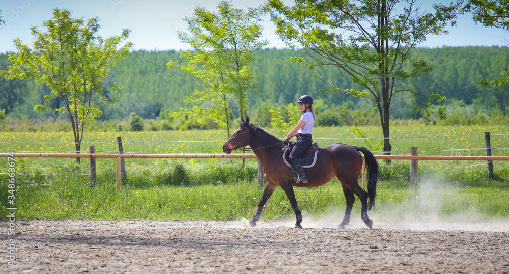 Girl is riding sorrel horse in the spring Girl is riding sorrel horse in the spring