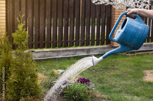 Сare of plants . Man waters flowerbed out of leach . Hand  water from a watering can flower bed at summer with sun light. Happy gardening.