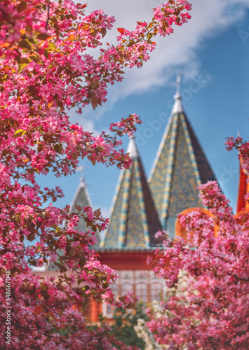 Photography The palace of Tsar Alexei Mikhailovich in the blossoming apple orchard