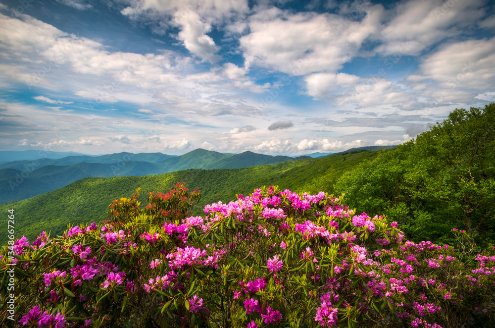 Blue Ridge Parkway North Carolina Mountain Spring Flowers Scenic Landscape Photography Blue Ridge Parkway North Carolina Mountain Spring Flowers Scenic Landscape Photography