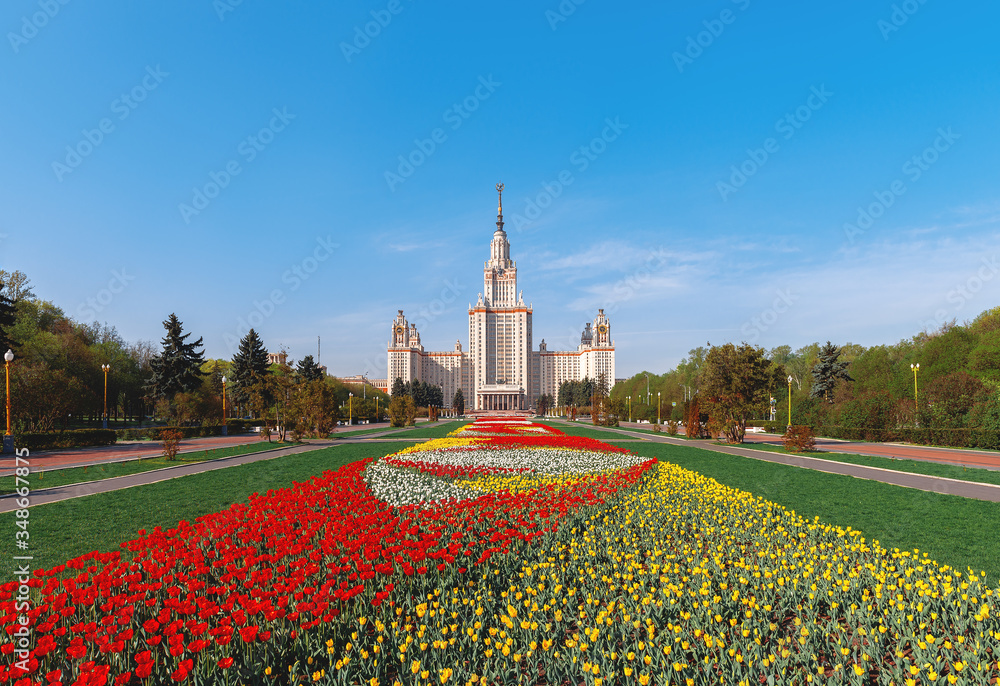 Tulips in front of Moscow State University (Moscow State University). Tulip Alley. 