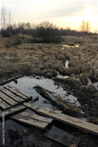 
spring landscape