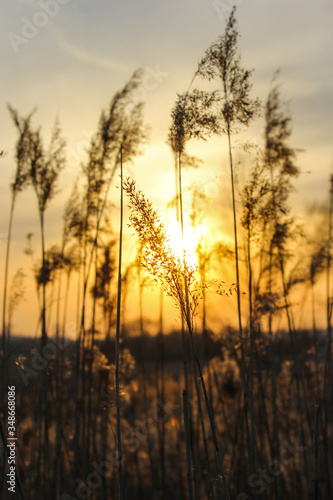 the sun sets over the horizon, the sun's rays