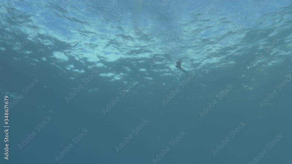 a gun thrown in sea coming from to the surface and sinking underwater slowly to the sandy bottom of sea a gun thrown in sea coming from to the surface and sinking underwater slowly to the sandy bottom of sea