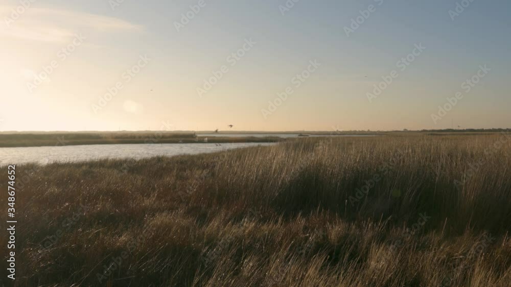 Wetlands at Sunrise in the Outer Banks of North Carolina Wetlands at Sunrise in the Outer Banks of North Carolina
