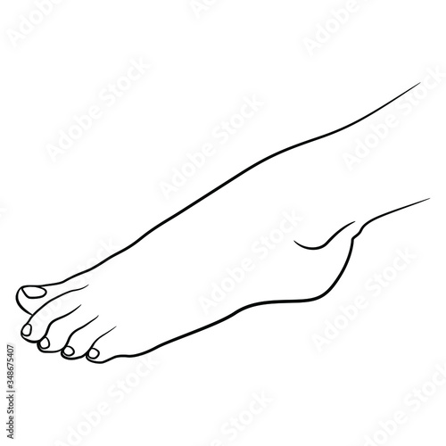 Isolated vector illustration. Beautiful bare female foot. Black and white linear silhouette.