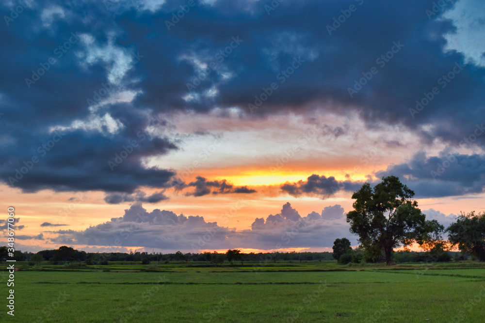 Countryside sunset with single tree greenery with some colorful clouds Countryside sunset with single tree greenery with some colorful clouds