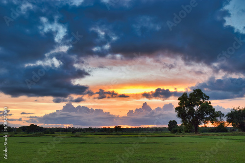 Countryside sunset with single tree greenery with some colorful clouds