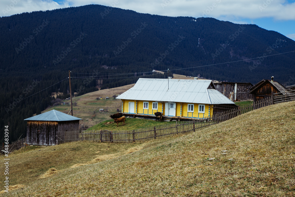 Landscape Freeride in the wild Carpathian mountain near big rocks.