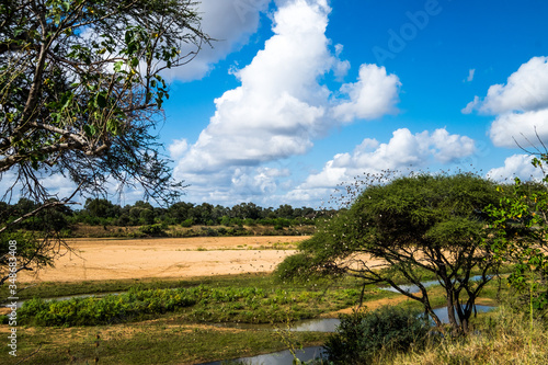 landscape with trees and clouds