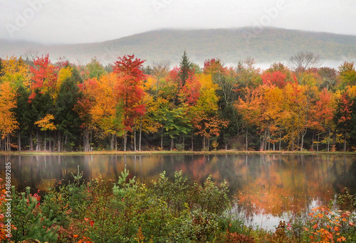 Autumn foliage landscape with lake reflection photo