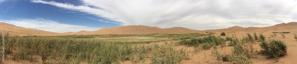 Desert Panorama 