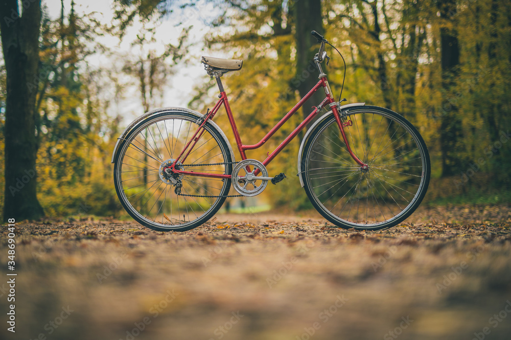 Side photo of old vintage bicycle parked on a path in a park between leaves trees and other foliage. Concept of outdoor activities or commuting during a romantic season.