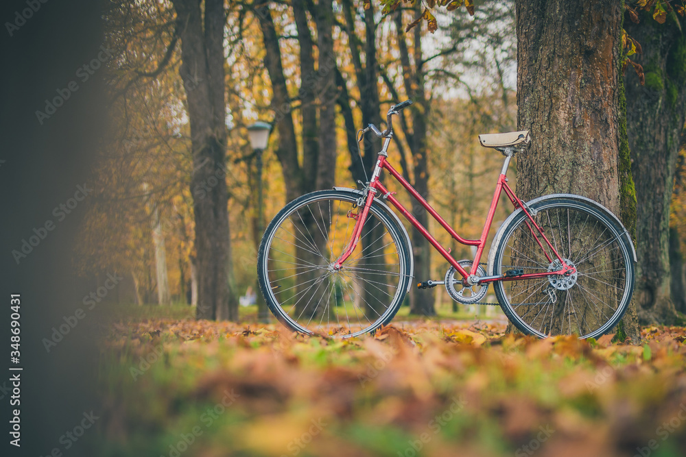 Old vintage bicycle parked in a park between leaves trees and other foliage. Concept of outdoor activities or commuting during a romantic season.