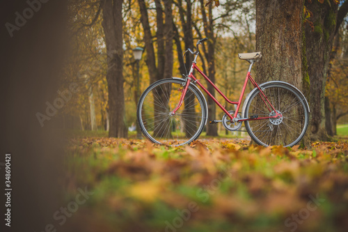 Old vintage bicycle parked in a park between leaves trees and other foliage. Concept of outdoor activities or commuting during a romantic season.