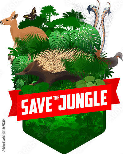 vector jungle rainforest emblem with  red kangaroo, Lyrebird, Echidna and butterflies	
