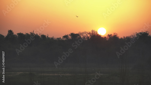 Photography a beautiful orange sunrise at tadoba andhari tiger reserve