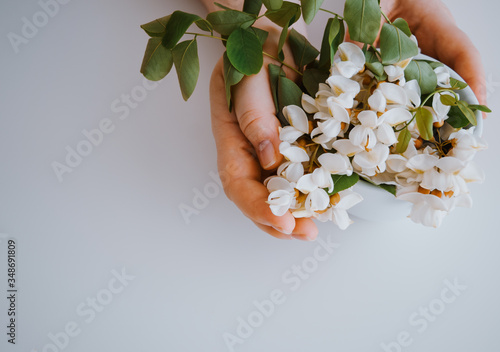 hands hug a bouquet of acacia flowers, hold a beautiful bouquet of delicate flowers isolated on a white background