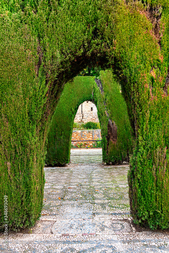 Billede på lærred Two bog green hedge arches in a garden