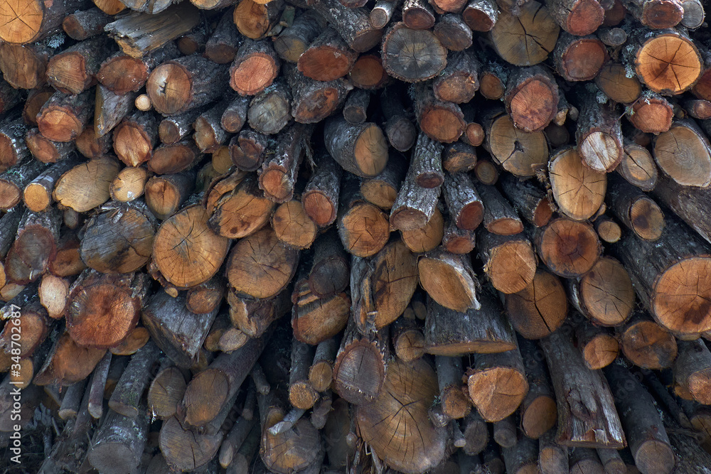 Apilado de troncos de madera para utilizar como leña Apilado de troncos de madera para utilizar como leña