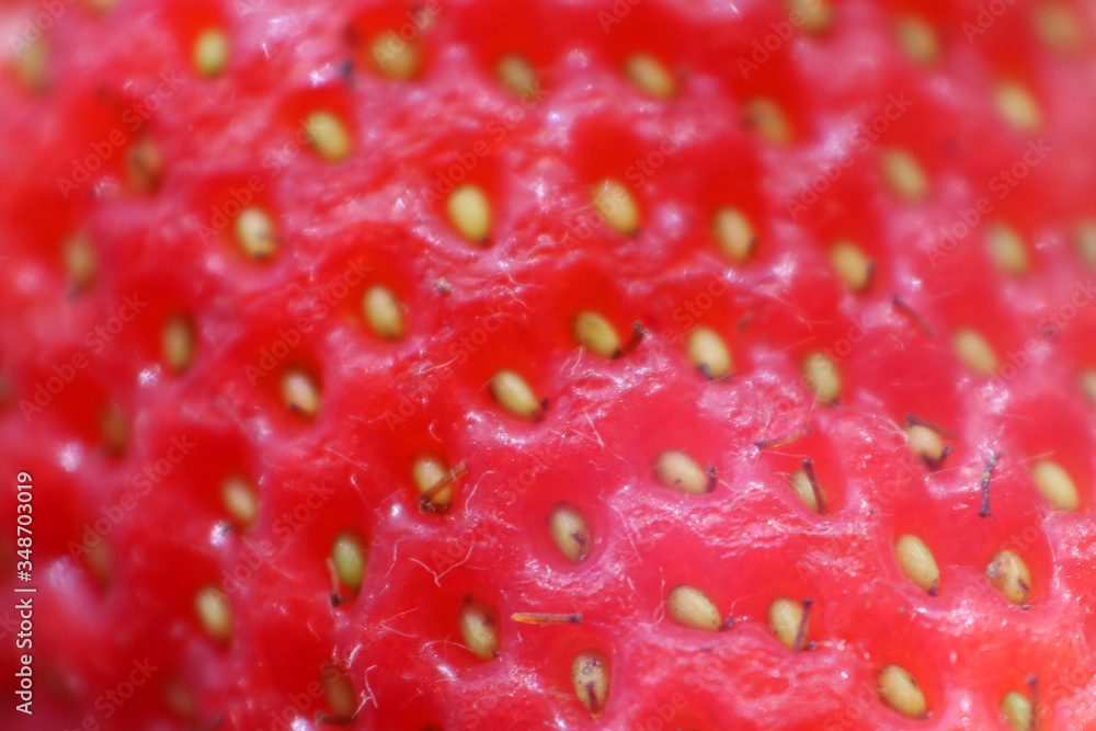 Fresa Fresa