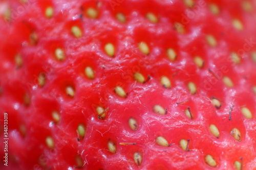 Wallpaper Mural Fresa Torontodigital.ca