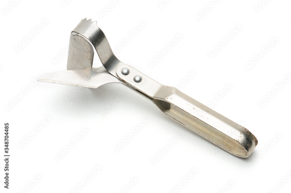 Fish scale scraper on a white background Fish scale scraper on a white background