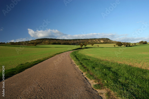 country road in the countryside