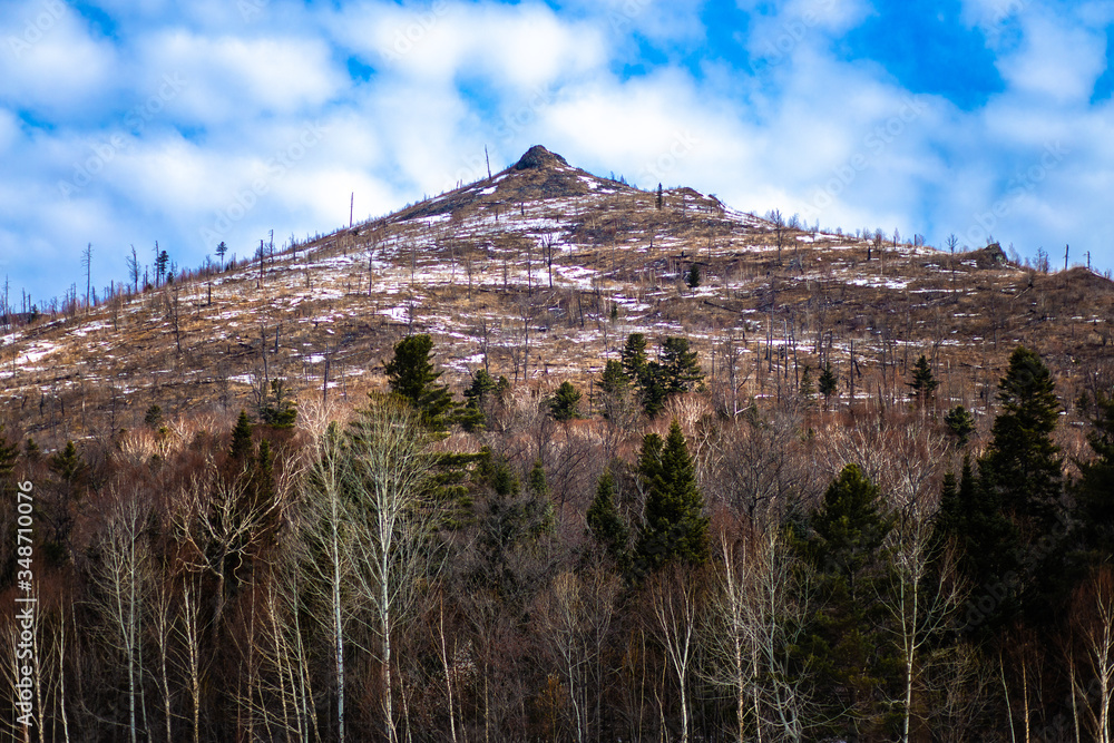 Obraz premium mountains in winter