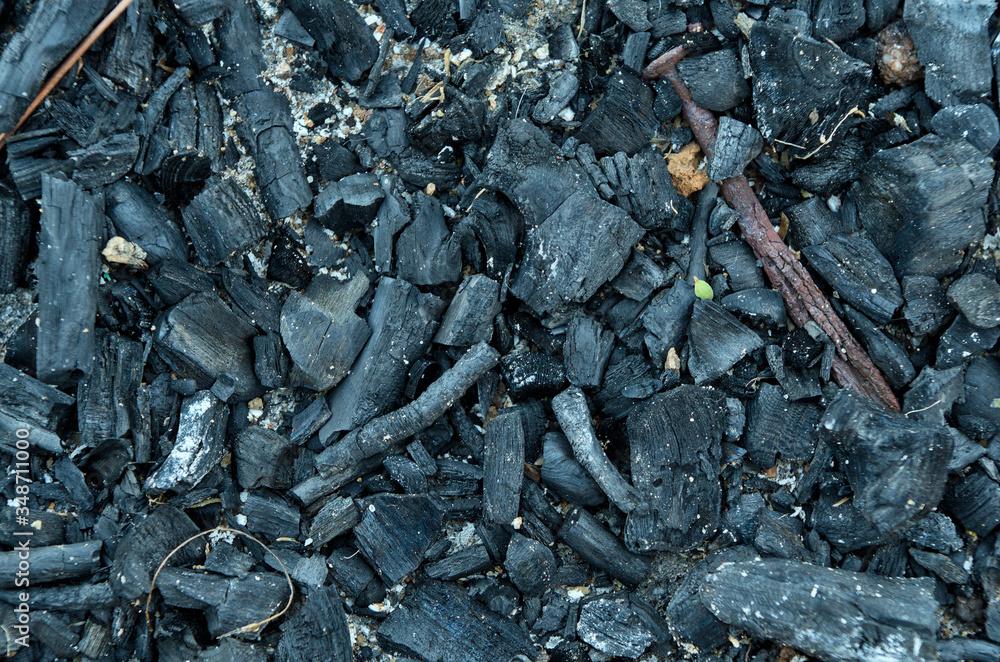 Burned wood and rusty nail. wildfires destruction Burned wood and rusty nail. wildfires destruction