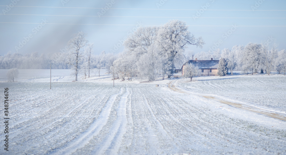Snowy and icy winter road with trees and bushes Snowy and icy winter road with trees and bushes