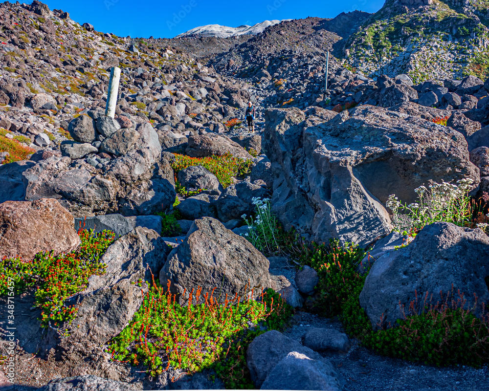 Obraz premium Mt St Helens Monitor Ridge Rock Scamble with Person