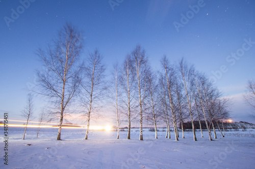 Snow covered trees with white sky and frost around © Markel