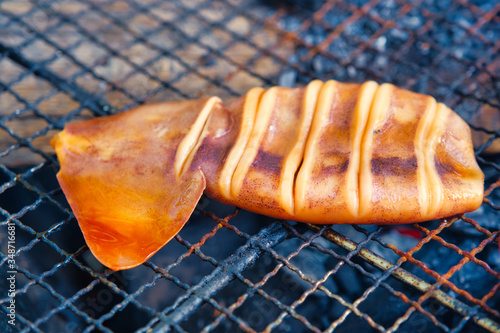 イカ焼き　バーベキュー　炭火でイカのぽっぽっ焼き photo