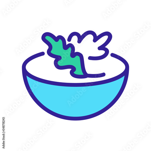 arugula in salad bowl icon vector. arugula in salad bowl sign. color symbol illustration