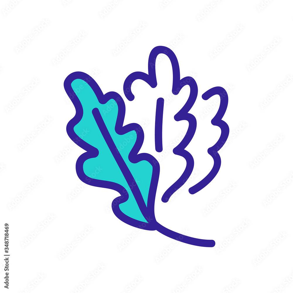vegan plants arugula leaves icon vector. vegan plants arugula leaves sign. color symbol illustration vegan plants arugula leaves icon vector. vegan plants arugula leaves sign. color symbol illustration