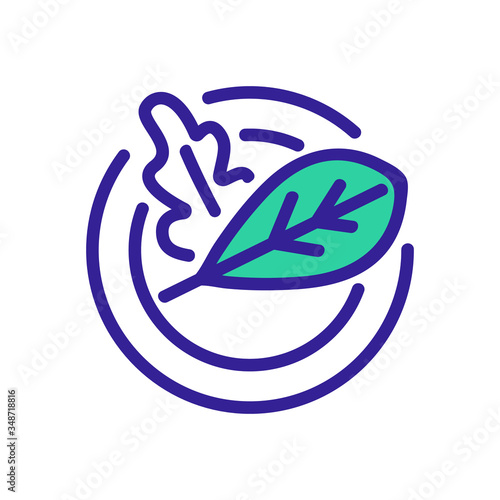 rucola leaves on plate icon vector outline illustration