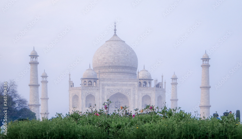 Taj Mahal in Early Morning Light