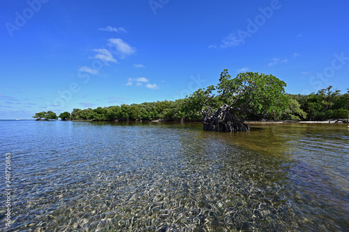 Clear shallow water of Bear Cut off Key Biscayne, Florida at low tide on sunny summer afternoon.