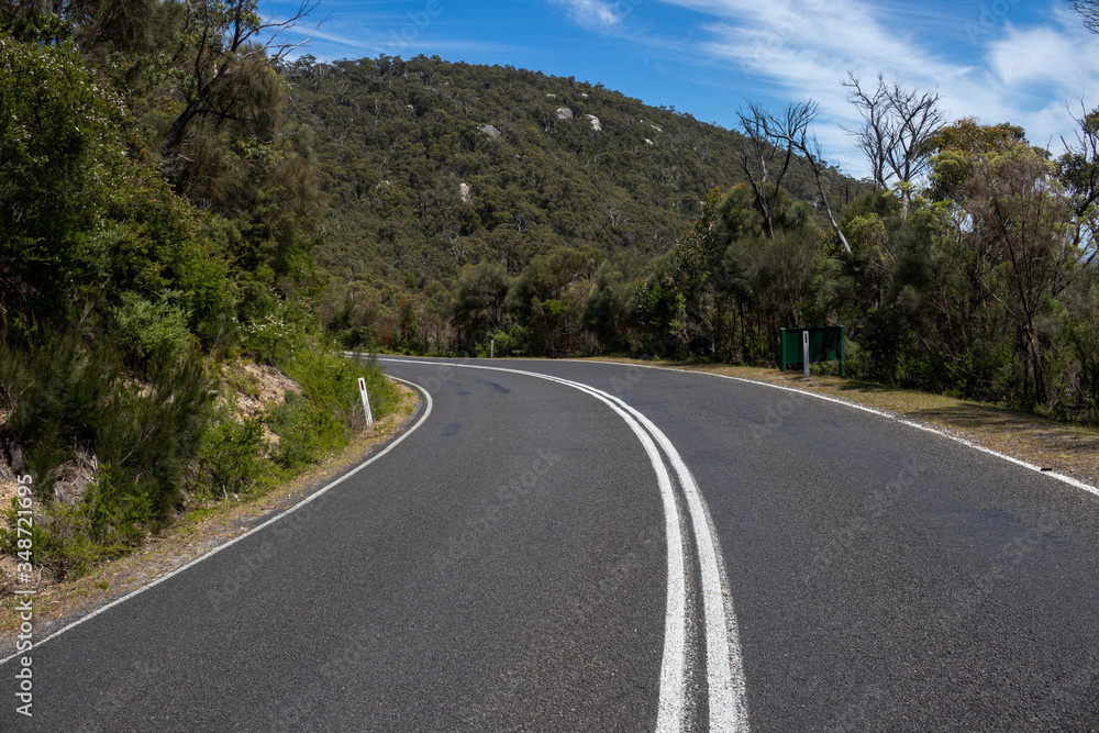 Road Through Nature 